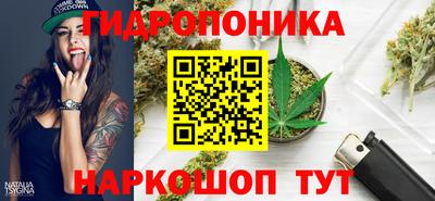 скорость Обнинск
